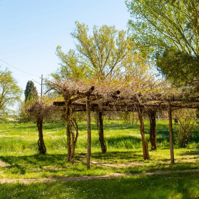Tenuta la Fratta